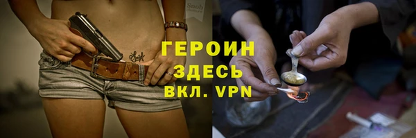 индика Арсеньев