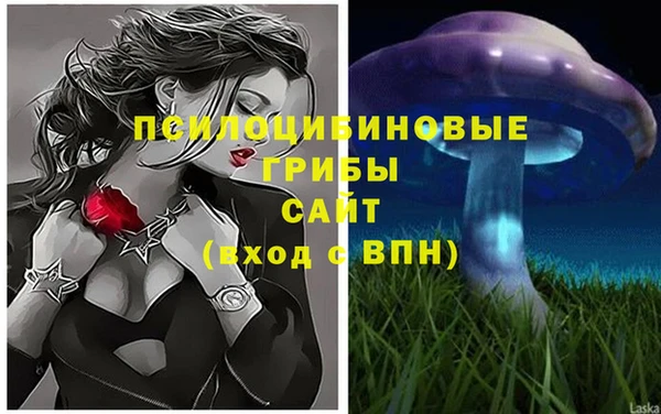 индика Арсеньев