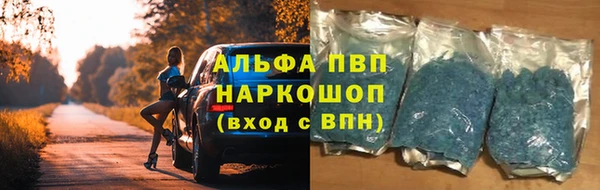 индика Арсеньев