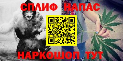 гидра Обнинск