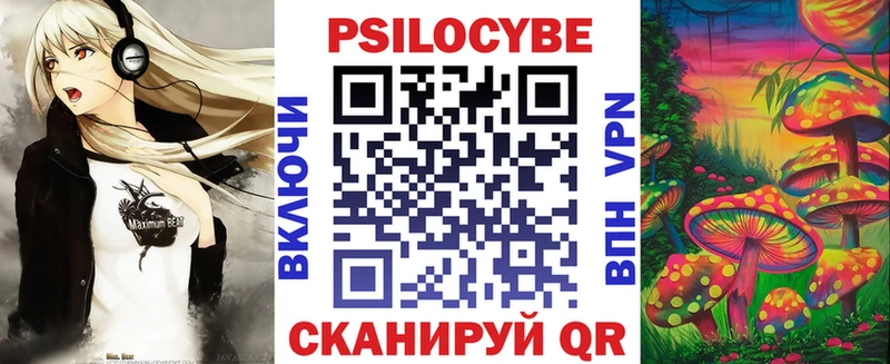 магазин    Шадринск  Галлюциногенные грибы прущие грибы 