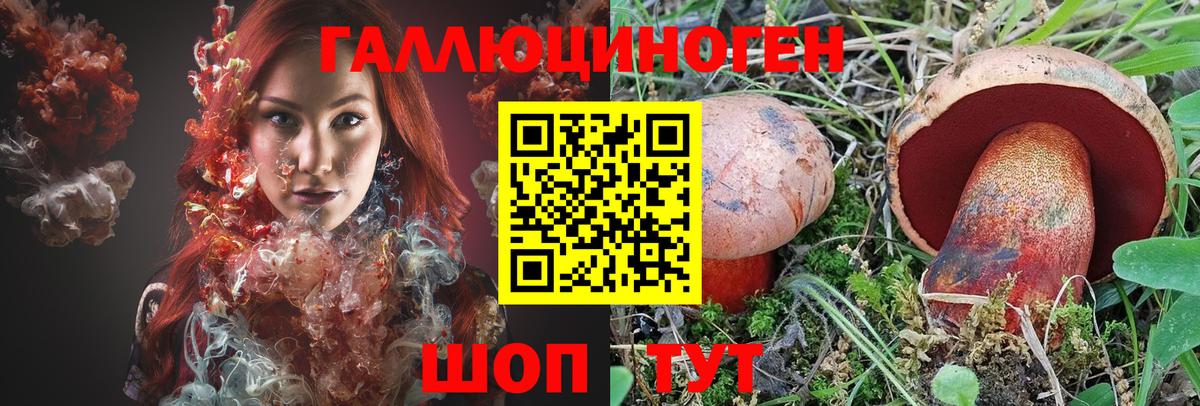 Псилоцибиновые грибы GOLDEN TEACHER Шадринск